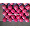/msite/products/detail/productid/54855468/id/542998.html